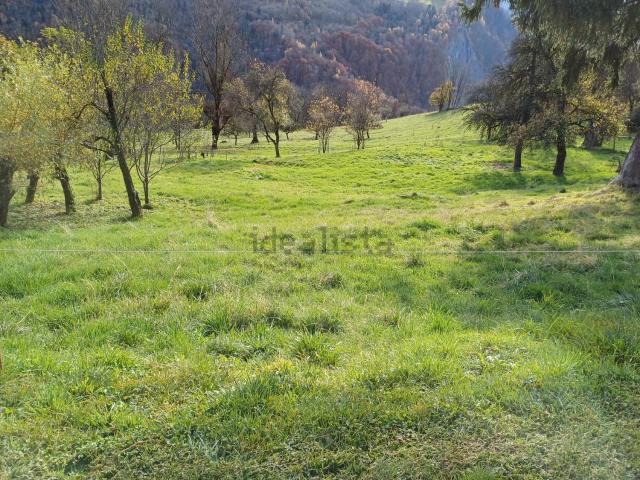 Terrain vente à L'Epalud, Saint-François-Longchamp
