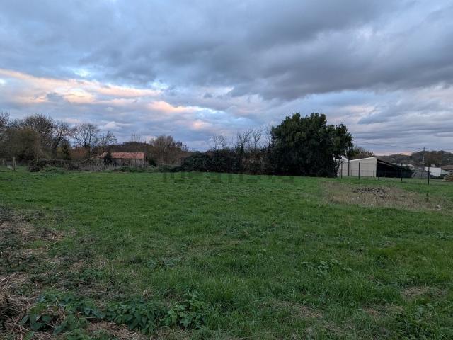 Terrain vente à Danzay, Saint-Georges-de-Noisné