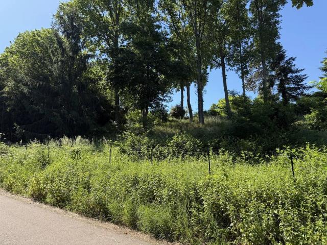 Terrain vente à Saint-Georges-sur-Baulche, Yonne