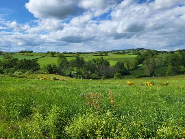Terrain vente à Roanne, Saint-marcel-de-félines