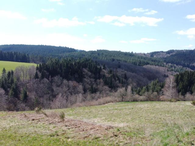 Terrain vente à Saint-Romain-les-Atheux