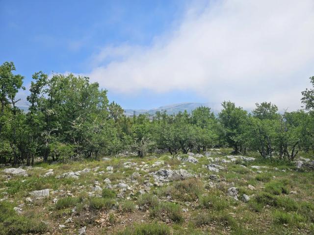 Terrain vente à Saint-Vallier-de-Thiey, Alpes-Maritimes