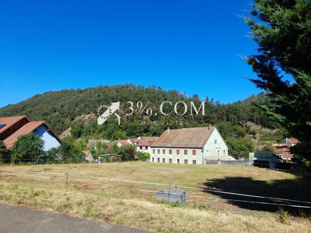 Terrain vente à Sainte-Croix-aux-Mines, Collectivité européenne d'Alsace