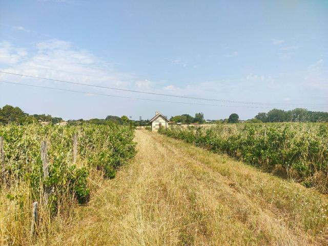Terrain vente à Sainte-Eulalie, Gironde