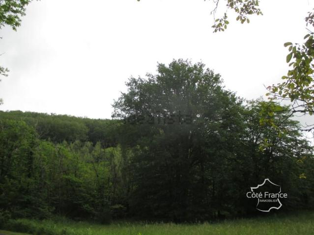 Terrain vente à Sainte-Foy-de-Belvès, Dordogne