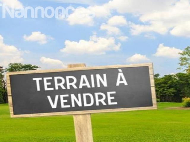 Terrain location