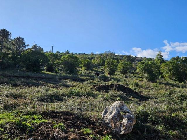 Terrain vente à Sartène, Sari-solenzara