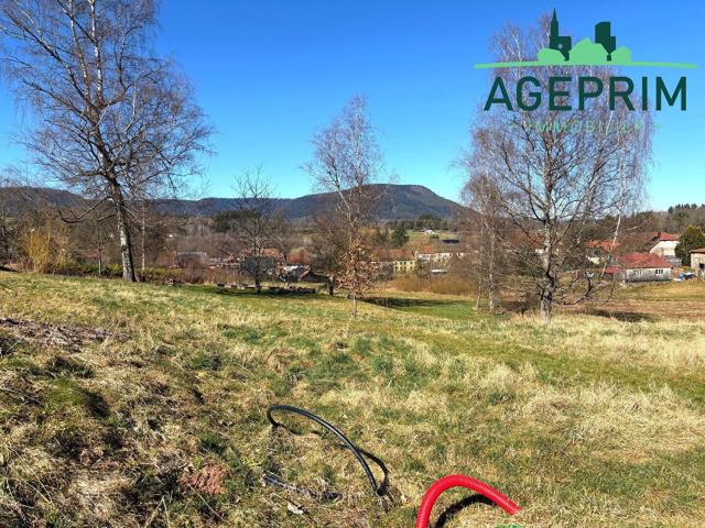 Terrain vente à Saulxures, Collectivité européenne d'Alsace