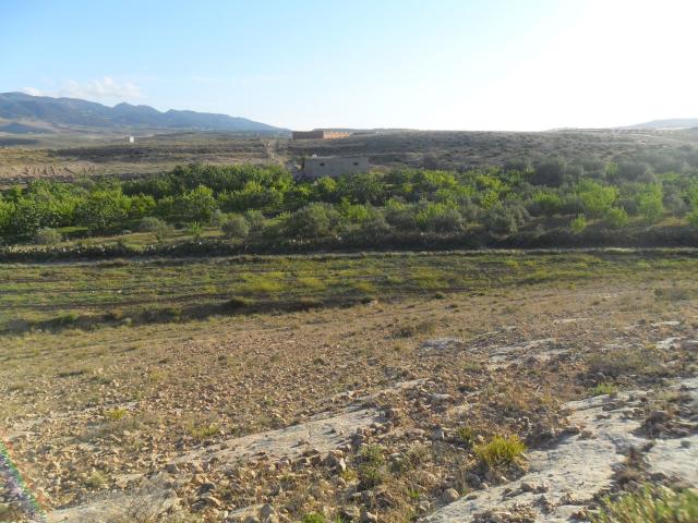Terrain vente à Kasserine Nord