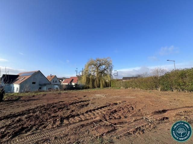 Terrain vente à Kleinfrankenheim, Schnersheim