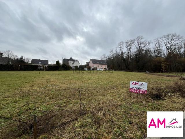 Terrain vente à Schweighouse-Thann, Collectivité européenne d'Alsace