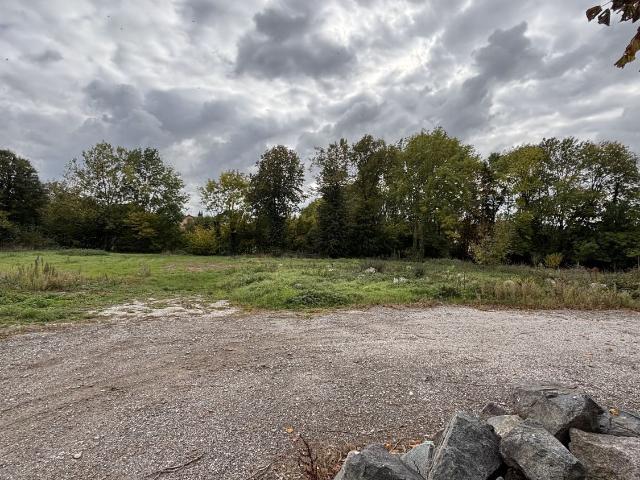 Terrain vente à Schwenheim, Collectivité européenne d'Alsace