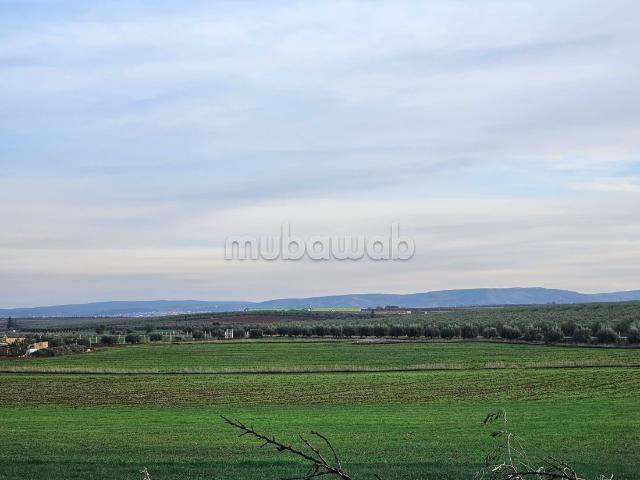 Terrain vente