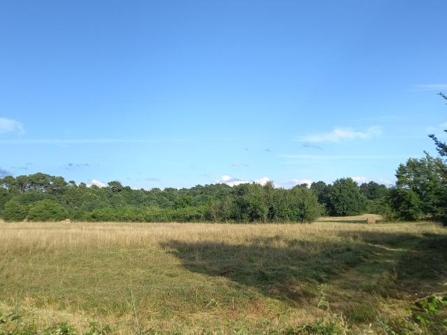 Terrain vente à Périgueux, Montpon-ménestérol
