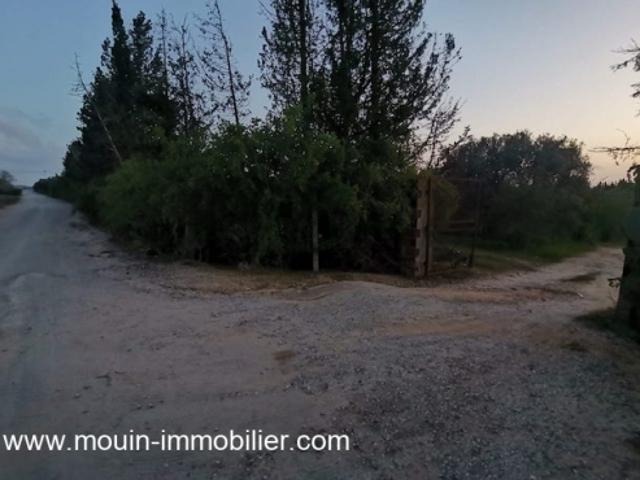 Villa vente à Nabeul