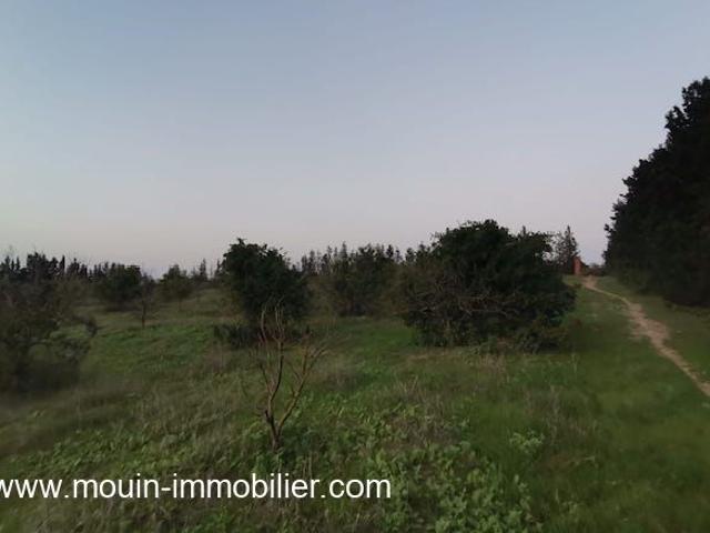 Terrain vente à Beni Khalled