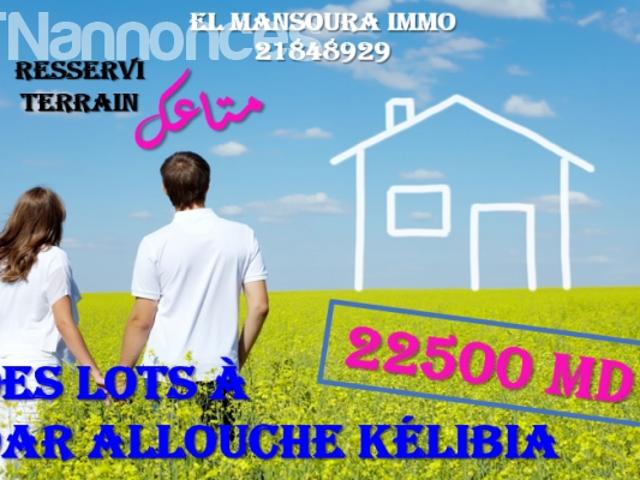 Terrain vente