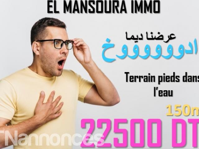 Terrain vente