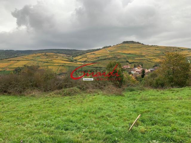 Terrain vente à Soultzmatt, Collectivité européenne d'Alsace