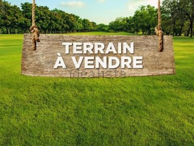 Terrain vente à Soultzmatt, Collectivité européenne d'Alsace