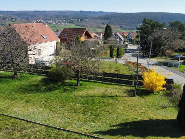 Terrain vente à Soultzmatt, Collectivité européenne d'Alsace
