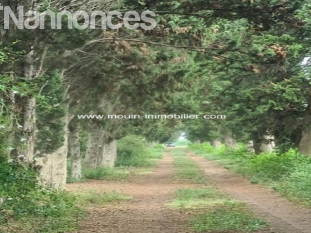 Terrain vente