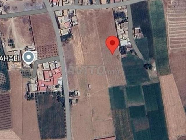 Propriété vente à Mellal