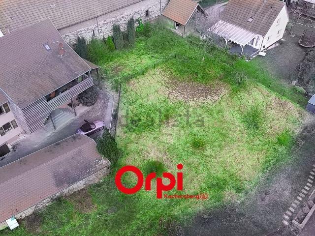 Terrain vente à Stutzheim-Offenheim, Collectivité européenne d'Alsace
