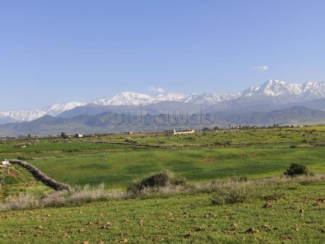 Terrain vente à Marrakech, L'Oriental
