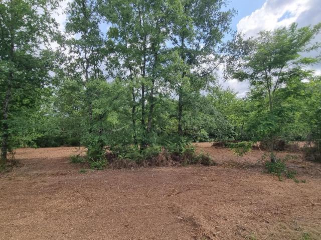 Terrain vente à France métropolitaine, Vergt