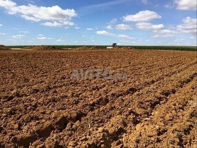 Propriété vente à Meknès