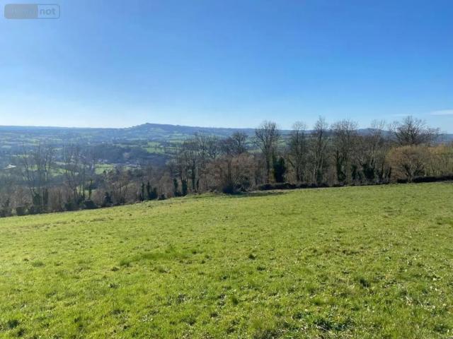 Terrain vente à Tessy-sur-Vire, Tessy-Bocage