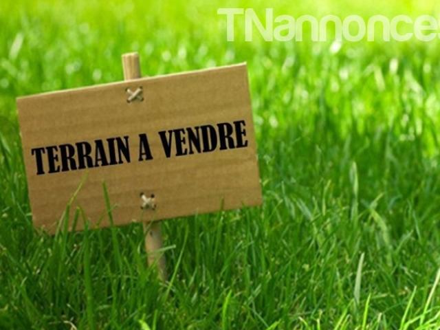 Terrain vente