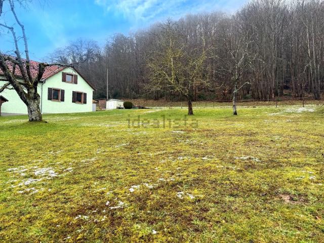 Terrain vente à Thal-Marmoutier, Collectivité européenne d'Alsace