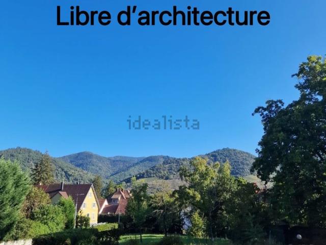 Terrain vente à Thann, Collectivité européenne d'Alsace