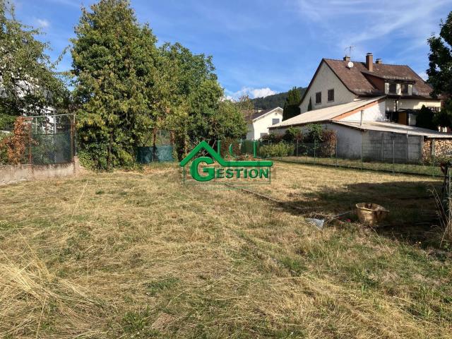 Terrain vente à Vieux-Thann, Collectivité européenne d'Alsace