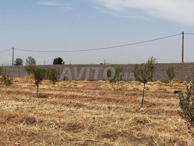 Propriété vente à Ouarzazate