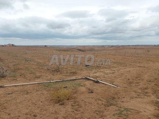 Propriété vente à Sidi Allal El Bahraoui