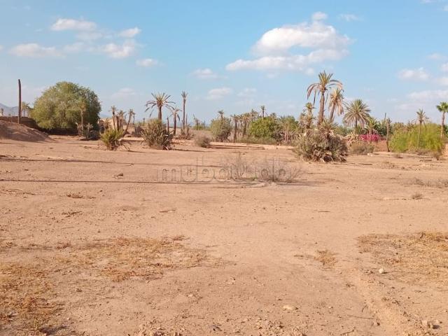 Terrain vente à Marrakech, L'Oriental