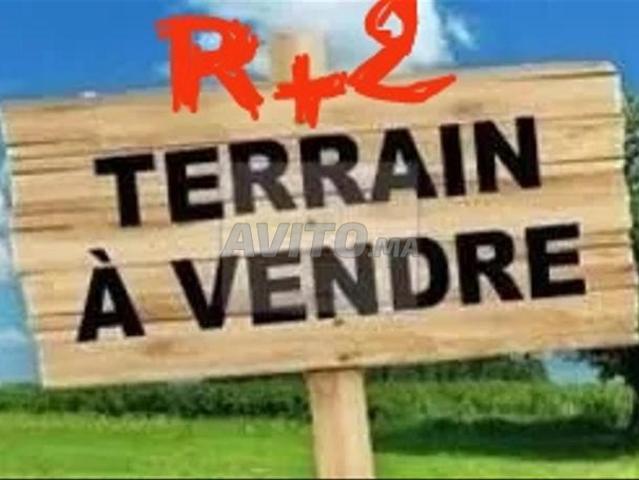 Propriété vente à L'Oriental