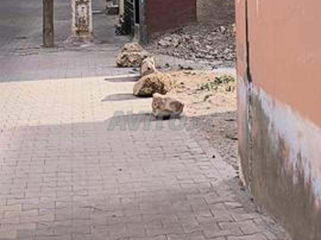 Propriété vente à Oued Zem