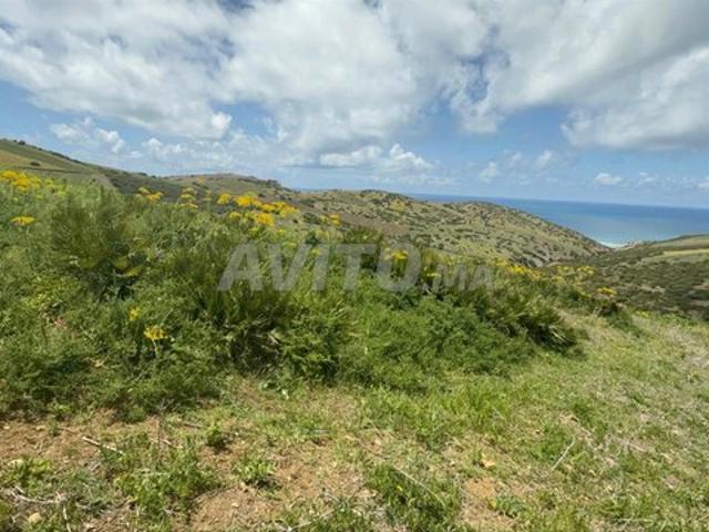 Propriété vente à Assilah, Tanger-Tétouan