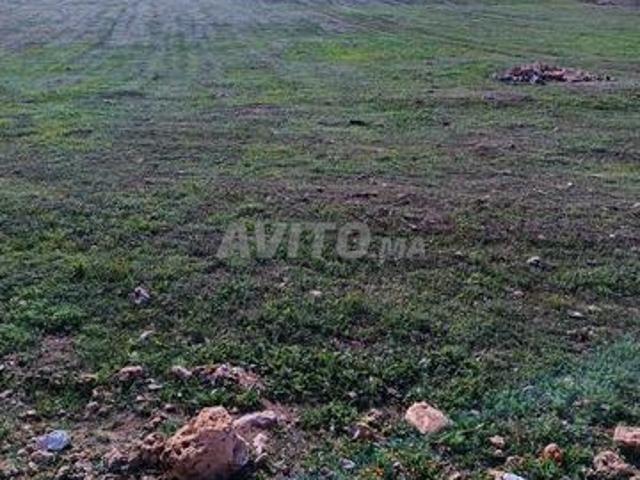Propriété vente à El Ma, Gharb-Chrarda-Beni Hssen