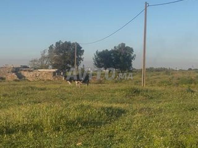 Propriété vente à Had Soualem, Gharb-Chrarda-Beni Hssen