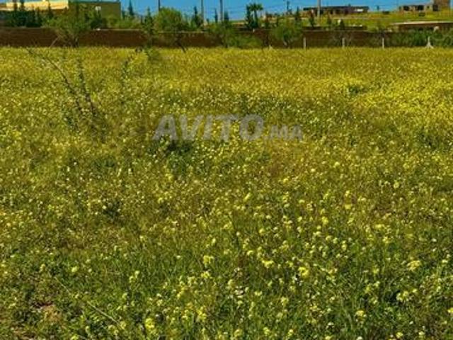 Propriété vente à Anfa, Gharb-Chrarda-Beni Hssen