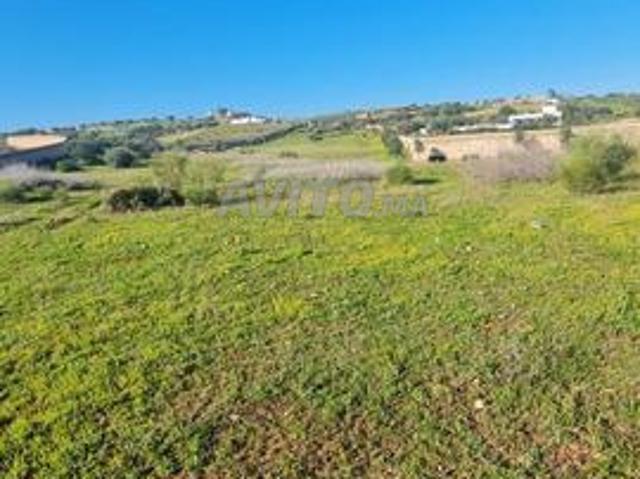 Propriété vente à Essaouira, L'Oriental