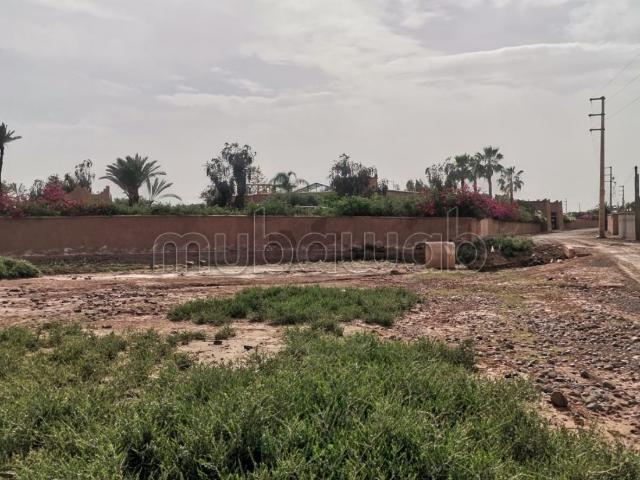 Terrain vente à Marrakech, L'Oriental