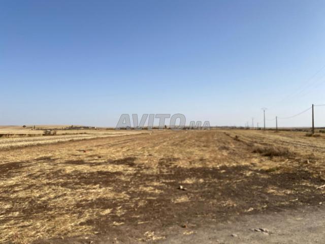 Propriété vente à Settat, Gharb-Chrarda-Beni Hssen