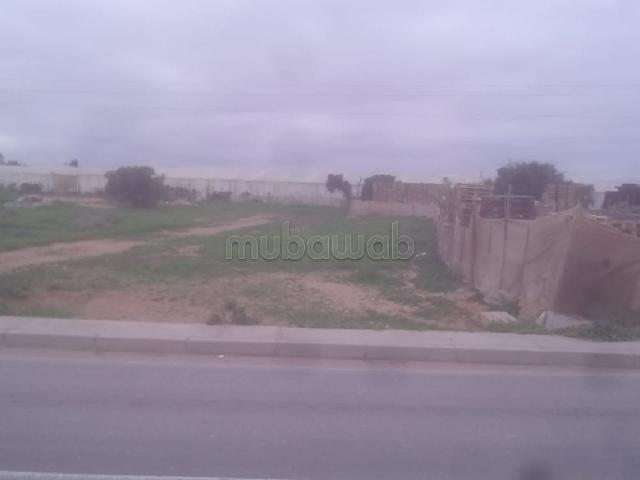 Terrain vente à Aït Melloul, Oued ed Dahab-Lagouira