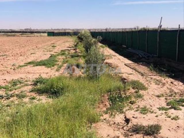 Propriété vente à Aït Melloul, Oued ed Dahab-Lagouira